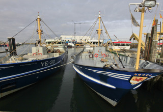 To fiskerbåde ligger fortøjret ved en havn med flere både og bygninger i baggrunden under en overskyet himmel.