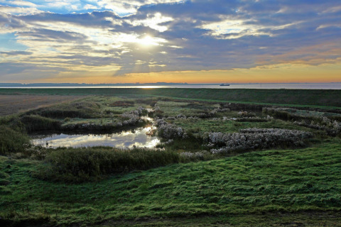 Udsigt over et vådområde ved solnedgang fra Water Resort Oosterschelde 46 i Holland nær havet.