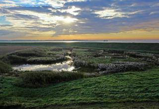 Udsigt over et vådområde ved solnedgang fra Water Resort Oosterschelde 46 i Holland nær havet.