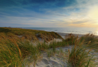 Udsigt over sandklitter og havet ved solnedgang fra Water Resort Oosterschelde 46 i Holland.