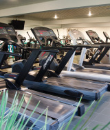 Een moderne fitnessruimte met meerdere loopbanden bij Camping GT Keiheuvel, een vakantiepark in Antwerpen.