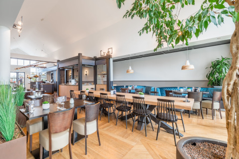 Bright, modern restaurant with natural plants and wooden furniture, pictured at glamping accommodation.