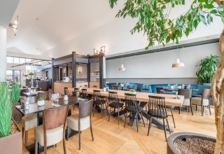 Bright, modern restaurant with natural plants and wooden furniture, pictured at glamping accommodation.