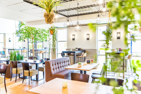 Bright, modern dining area at a glamping site, featuring lots of greenery, wooden tables, and cozy seating.