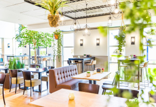 Bright, modern dining area at a glamping site, featuring lots of greenery, wooden tables, and cozy seating.