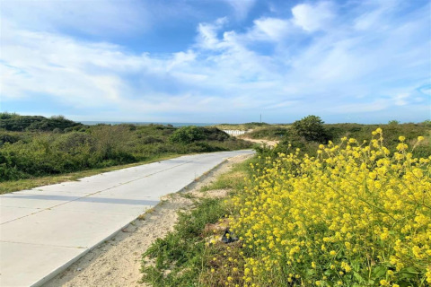A glamping path lined with wild yellow flowers and greenery under a bright blue sky in spring.