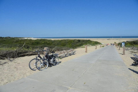 Glamping area near the beach with parked bicycles, benches, and a path leading to the sea under blue sky.