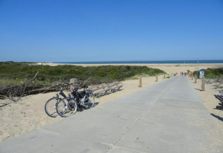 Glamping area near the beach with parked bicycles, benches, and a path leading to the sea under blue sky.