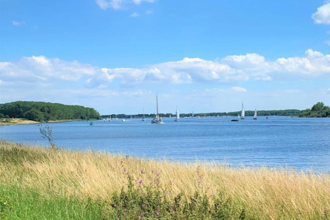 Tranquil lake view with sailboats and grassy shore, seen from a glamping site on a sunny, blue-sky day.