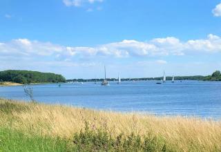 Tranquil lake view with sailboats and grassy shore, seen from a glamping site on a sunny, blue-sky day.