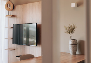 Moderne stue i et lille hus med træpanel, vægmonteret tv, dekorative hylder og vase i Beach Resort Nieuwvliet-Bad.