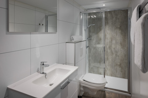 Moderne badeværelse i et tiny house på Beach Resort Nieuwvliet-Bad 17 med brusekabine og spejl.