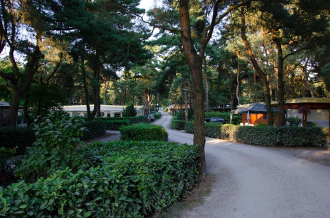 Alrededores del parque - Vodatent - Camping GT Keiheuvel - Balen - Amberes - Bélgica.jpg