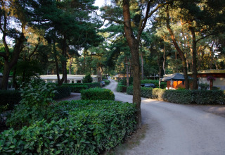 Park environment - Vodatent - Camping GT Keiheuvel - Balen - Antwerp - Belgium.jpg