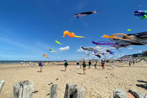 Cometas coloridas vuelan sobre la playa, familias y niños disfrutan de un día soleado en glamping.