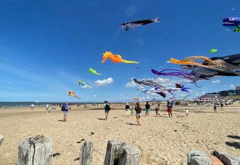 Cometas coloridas vuelan sobre la playa, familias y niños disfrutan de un día soleado en glamping.