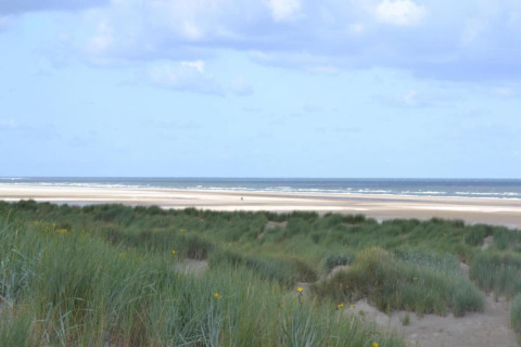 Udsigt fra et glampingområde med grønne klitter, sandstrand og hav under en let overskyet himmel.