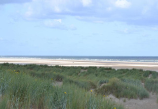Udsigt fra et glampingområde med grønne klitter, sandstrand og hav under en let overskyet himmel.