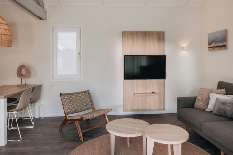 Moderne woonkamer in Beach Resort Nieuwvliet-Bad 16 in Nederland met Scandinavisch interieur en flatscreen-tv.