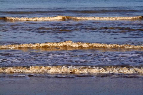 Kabbelende golven bij het strand van Beach Resort Nieuwvliet-Bad 16 in Nederland spoelen aan.