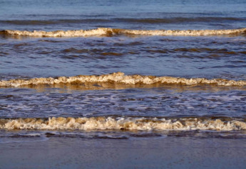 Olas suaves del mar llegan a la orilla en Beach Resort Nieuwvliet-Bad 16 en los Países Bajos.