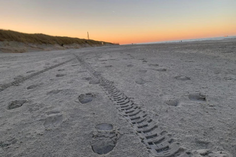 Strand ved solnedgang med fodspor og dækmærker i sandet, Beach Resort Nieuwvliet-Bad 16 i Holland.