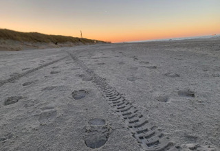 Strand ved solnedgang med fodspor og dækmærker i sandet, Beach Resort Nieuwvliet-Bad 16 i Holland.