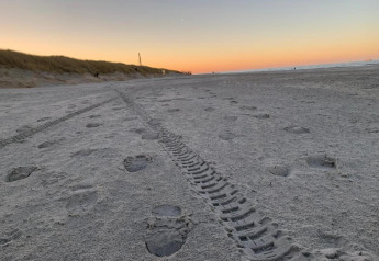 Playa al atardecer con huellas y marcas de neumáticos en la arena en Beach Resort Nieuwvliet-Bad 16, Países Bajos.