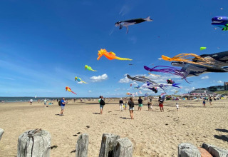 Strandscene ved Beach Resort Nieuwvliet-Bad 16 i Holland med farverige drageflyvning på en solskinsdag.