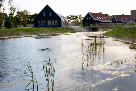 Resort Nieuwvliet-Bad 13 nei Paesi Bassi con lodge vicino all’acqua e vegetazione verde.