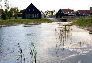 Resort Nieuwvliet-Bad 13 nei Paesi Bassi con lodge vicino all’acqua e vegetazione verde.