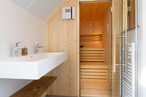 Sauna moderna e bagno al Resort Nieuwvliet-Bad 13 nei Paesi Bassi con doppi lavandini e porta in vetro.