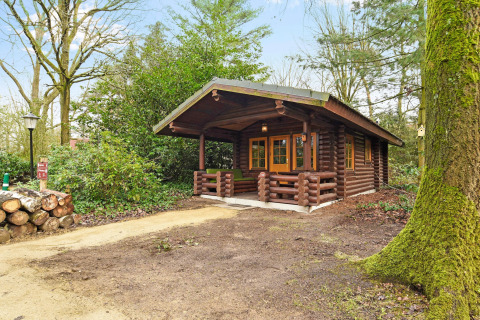 Cozy log chalet at Park Duc de Brabant 3 with a covered porch, nestled among lush greenery and trees.