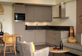 Modern kitchen and living room at Holiday Park Zeebad 14 in the Netherlands, featuring stylish decor and furniture.