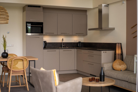 Modern kitchen and living room at Holiday Park Zeebad 14 in the Netherlands, featuring stylish decor and furniture.