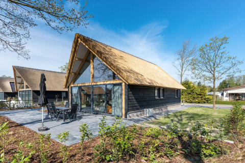 Modernes Chalet im Park de Kievit 19 mit Reetdach, großen Fenstern und sonniger Terrasse im Grünen.