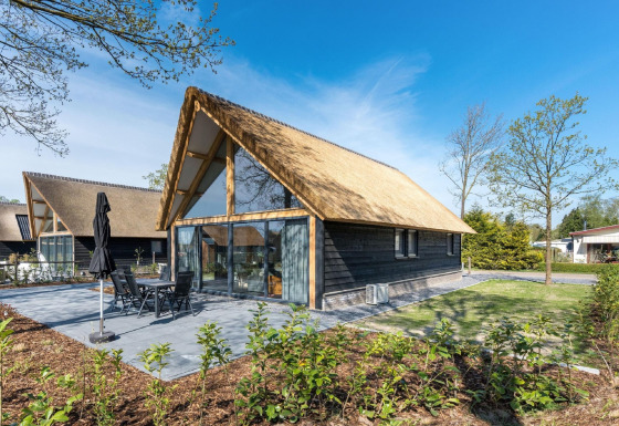 Modernes Chalet im Park de Kievit 19 mit Reetdach, großen Fenstern und sonniger Terrasse im Grünen.