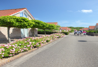 Børn cykler på en vej mellem lodge-hytter med røde tage, træer og blomstrende buske under blå himmel.
