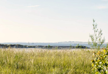 Udsigt fra en lodge med højt græs i forgrunden, sandklitter og havet i baggrunden på en solskinsdag.