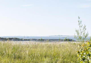 Udsigt fra en lodge med højt græs i forgrunden, sandklitter og havet i baggrunden på en solskinsdag.