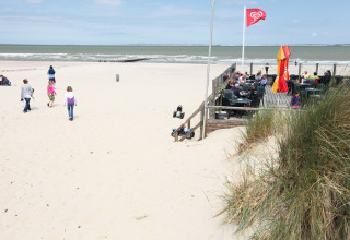 People enjoying a day at the beach, with some relaxing at a seaside café deck, others walking on the sand.