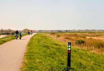 Cykelsti ved en landevej med flere cyklister og grønne marker under en klar blå himmel ved en hytte.