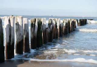 Weathered wooden posts along the shoreline at Holiday Park Zeebad 14 in the Netherlands, with waves splashing.