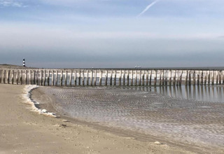 Spiaggia con pali di legno nell’acqua bassa, bassa marea e un faro visibile in lontananza.