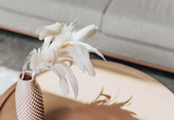 White feathers in a decorative vase on a wooden table in a bright, modern room at Holiday Park Zeebad 11.