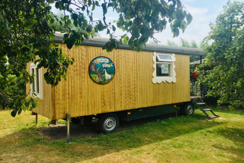 Mobil hjem Pipowagen de Weideblick i Holland omgivet af træer og grønne områder på en solrig dag.