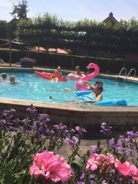Outdoor swimming pool - Camping de Peelweide - Vodatent - Grashoek, Limburg, Netherlands
