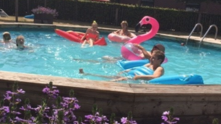 Piscina al aire libre - Camping de Peelweide - Vodatent - Grashoek, Limburgo, Países Bajos