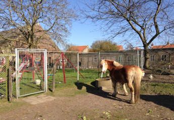 Un caballo está en un patio cercado con columpios y gallinas en Pipowagen «de Weideblick» en los Países Bajos.