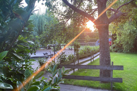 Luce del tramonto tra alberi e recinzione a Pipowagen de Weideblick nei Paesi Bassi.